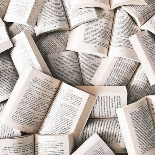 
La Citadelle des Ombres, Tome 2 : Le Poison de la vengeance ; La Voie magique ; La Reine solitaire